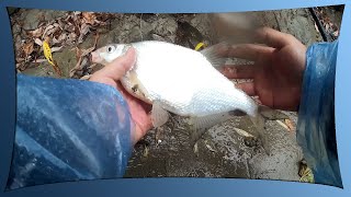 Рыбалка на реке Кубань, октябрь 2019