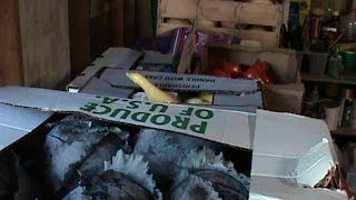 Wholesale Fruits and Vegetables