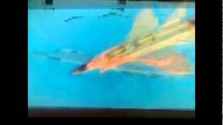 ACE COMBAT ZERO - MIG 31 Foxhound