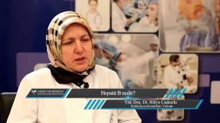 Hepatit B Viral Hepatit Bulaşıcı Sarılık Nedir