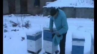 зимовка в улье на рамку 145мм(медовый друг)запорожье