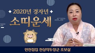 ★내 나이로 보는 2020년 경자년 소띠 운세★ 인천점집 천상작두장군 조보살