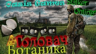Stalker Online Головач