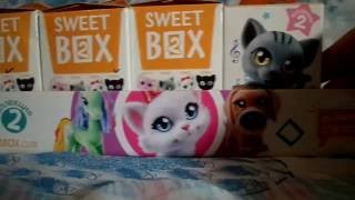Обзор на Игрушки Sweet BOX Пушистики котята коллекция 2