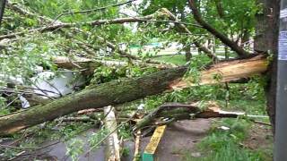 Ураганный ветер в Москве 29 мая 2017 года. Улица Дыбенко дом 6 кор.1