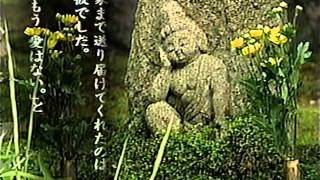 瀬戸内寂聴の人生相談5「不倫をしてしまいました」~AutumnSnake