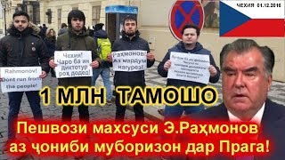Пешвози махсуси Э.Раҳмонов аз ҷониби  муборизон дар Прага!