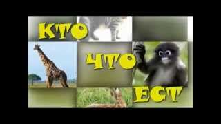 Что едят животные? - развивающий мультик для малышей!