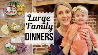Large Family Dinners // Supper Ideas // What's for Dinner?