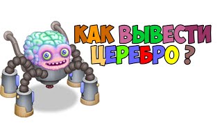 КАК ВЫВЕСТИ ЦЕРЕБРО