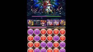 パズドラ【ヘラチャレンジ】妃の宴　光アヌビスPT（理事長）