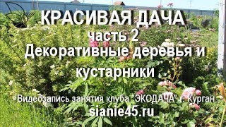 Красивая дача. Декоративные деревья и кустарники.#ЭКОДАЧА