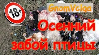 Осенний забой птицы