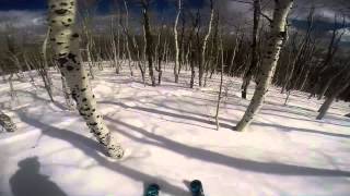 Park City Tree Skiing