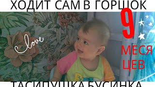 #РАЗВИТИЕ РЕБЕНКА. РЕБЕНОК В ДЕВЯТЬ МЕСЯЦЕВ САМ# ХОДИТ НА ГОРШОК. НАШ ОПЫТ