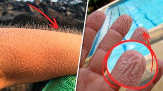 11 УДИВИТЕЛЬНЫХ ФАКТОВ О ЧЕЛОВЕЧЕСКОМ ТЕЛЕ