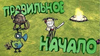 КАК ПРАВИЛЬНО НАЧАТЬ ИГРАТЬ В Don't Starve Shipwrecked (как правильно выживать в Don't Starve)