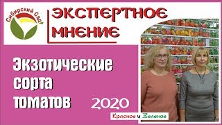 Экзотические томаты от Сибирского сада. Новинки и хиты