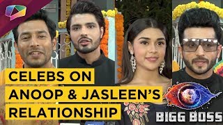Celebrities REACT To Anoop Jalota And Jasleen Matharu’s Relationship | Bigg Boss 12