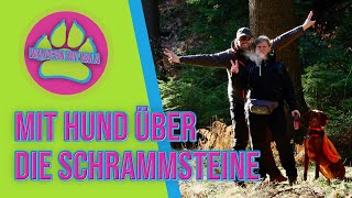 Mit Hund über die Schrammsteine - Elbsandsteingebirge Urlaub ⛰️ mit Hund - Wandern mit Hund ?