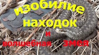 ИЗОБИЛИЕ НАХОДОК поиск с металлоискателем и волшебная змея