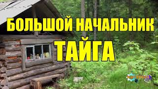 СТАРЫЙ ОХОТНИК И БОЛЬШАЯ "ШИШКА" В ТАЙГЕ