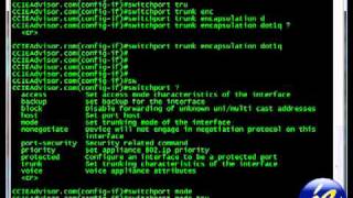 Learn how to create a dot1q trunk (802.1q) configuration on Cisco IOS from ccieadvisor.com