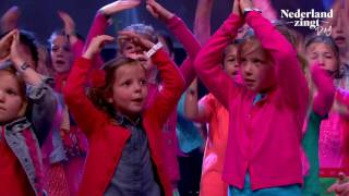 Nederland Zingt: Bromvlieg - Zo stevig als wat