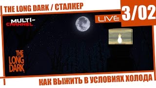 THE LONG DARK [3-02] Выживание | Сталкер | История одного человека