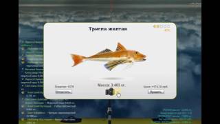 Черное море в трофейной рыбалке