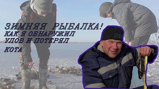 Зимняя  рыбалка  кот убежал в камыш
