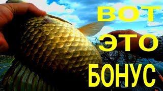 Вот это бонус  Макароны рулят   Ловля карася на мормышку с поплавком