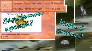 ИГРА В ЧИСЛА С СИСТЕМОЛАПОМ/ЗАРАБОТОК КРОЛЕЙ