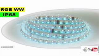 Strip LED RGB-WW IP68 - Double assemblage de LED 5050 et 3528 5 mètres