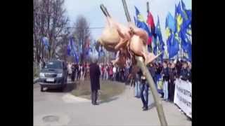 Тушки для Вадима Лейві.