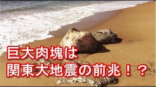 巨大な「グロブスター」が漂着正体は不明「巨大肉塊は関東大地震の前兆！？」