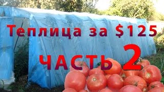 Ч.2: ДОРАБОТКИ - Огромная теплица своими руками за $125