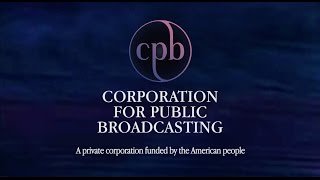 (CPB) Corporation for Public Broadcasting 90's Custom ID