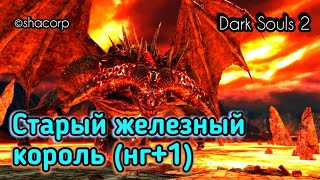 #АндрейШо #КопьеСвета #солс
Dark souls 2 #53 - Старый Железный Король (Old Iron King) - нг+1