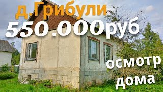 Осмотр дома д.Грибули