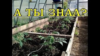 СИСТЕМА  п/автоматического КАПЕЛЬНОГО ПОЛИВА своими руками!