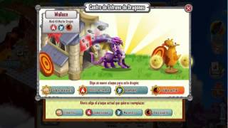MASTER GRAGON - Dragon City