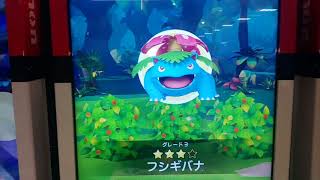 曲陽日本生活   日本寶可夢tretta2代機   pokemon gaole初玩 我是神奇寶貝大師!
