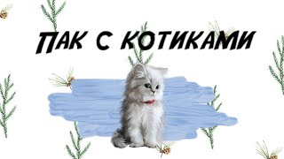•?❤️Готовые эффекты для Alight Motion??•||?Пак с котиками?~Огромный пак эффектов??