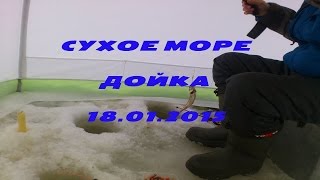 Сухое море. Дойка. Корюшка. 18.01.2015