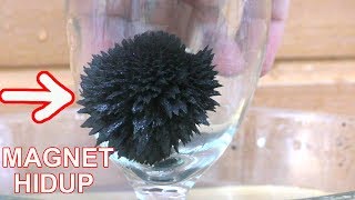 EKSPERIMEN MAGNET HIDUP