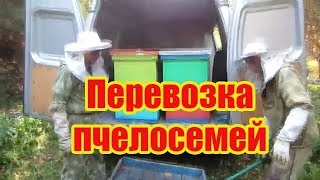 ???ПЕРЕВОЗКА УЛЬЕВ С ПЧЕЛОСЕМЬЯМИ НА СТАЦИОНАРНУЮ ПАСЕКУ