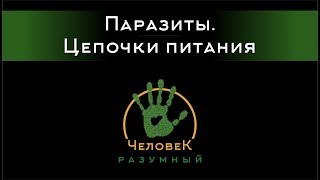 Паразиты. Цепочки питания ("Человек-Разумный", 2014)