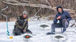 Офигеть!!! Сколько рыбы под бревном! РЫБАЛКА ЗИМОЙ в МЕЛКОМ ЗАЛИВЕ с БАЛДОЙ