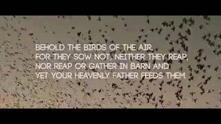 Matthew 6:26